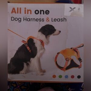 New dog harness & leash